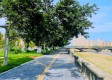 中房西江悦实景图